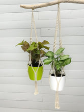 decoracion-con-plantas-maceta-de-colgar-maceta-de-techo-macrame-con-plantas-de-interior-macetero-decorativo-habibi-plantitas.jpg